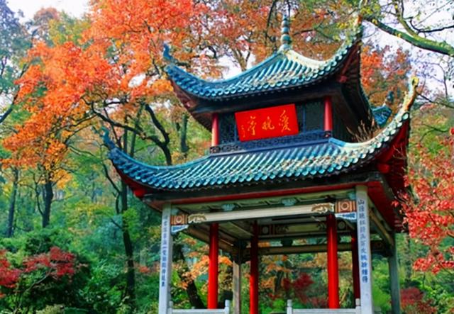 长沙市各区人口统计表，长沙9区县人口一览