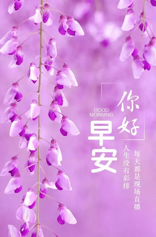 什么的浪花，什么样的浪花（平静的湖面只有呆板的倒影）