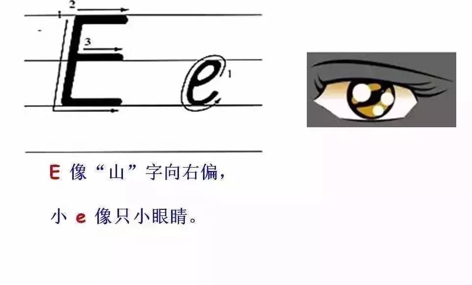 语文字母表大小写的正确书写格式，26个字母书写顺序笔画