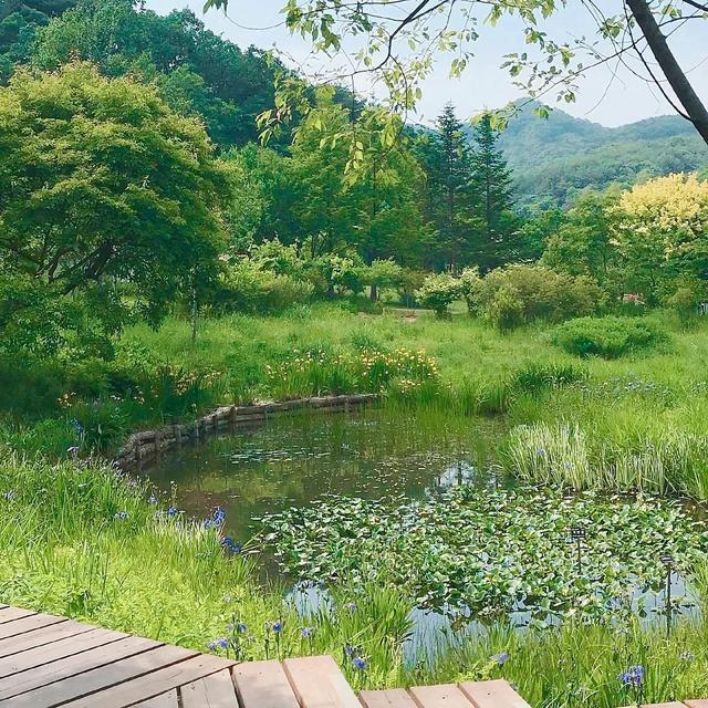 春日元气背景图 你的春日好运开始派件，请保持心情愉快，春日背景图怎么画（“春日”背景图）