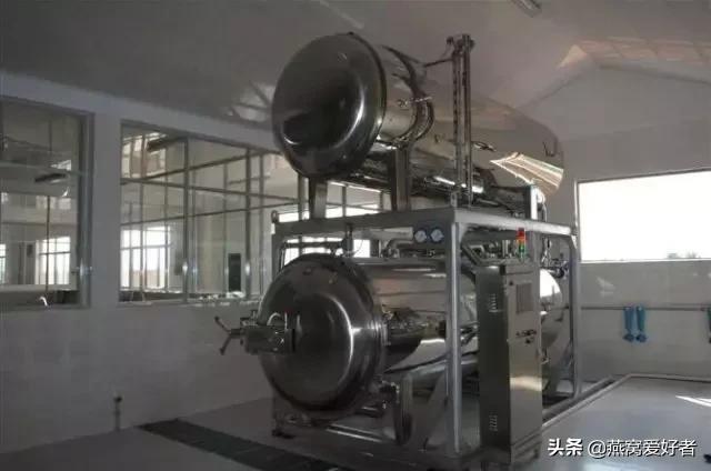 血燕是什么,血燕是什么味道(血燕是燕子吐血而成) 血燕是什么,血燕是什么味道(血燕是燕子吐血而成)