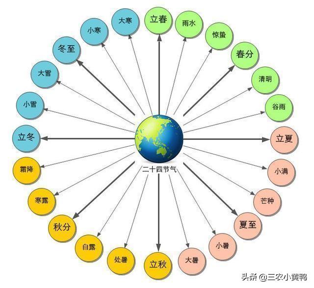 2020是閏年嗎閏幾月,2020年閏月是幾月份(農曆辛丑年僅354天)