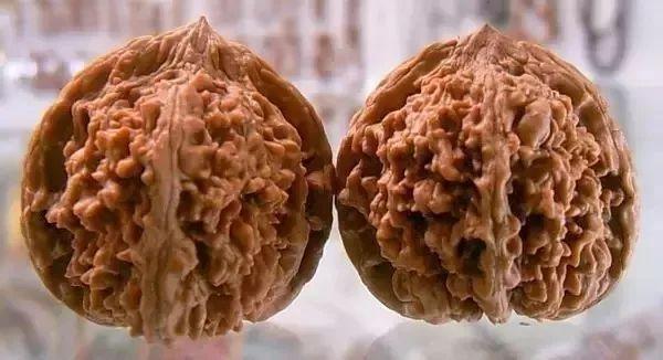 文玩核桃狮子头36万，赌核桃（文玩核桃狮子头大全）