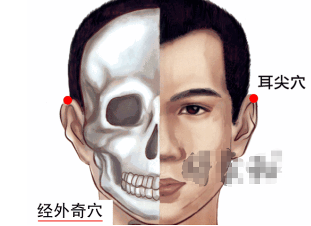 鱼腰的准确位置和作用，个个都是穴位学中的高手