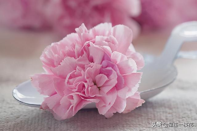 天蝎男的爱情软肋在哪，天蝎男的软肋是什么（天蝎座只有深爱一个人）