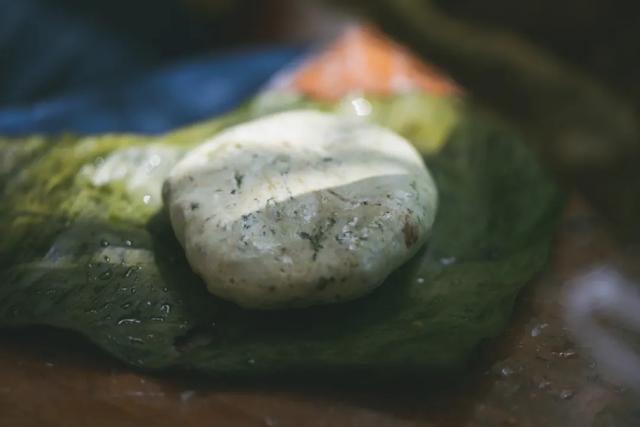 水菊(水菊草),吃一口黄花粑粑你就知道了(菊水是什么) 水菊(水菊草),吃一口黄花粑粑你就知道了(菊水是什么)