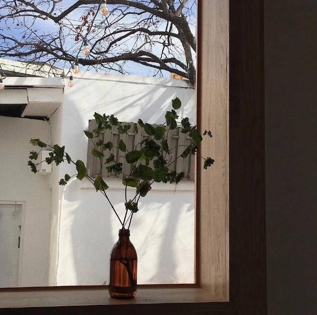 朋友圈封面图，朋友圈封面图片高清（朋友圈背景图封面图）