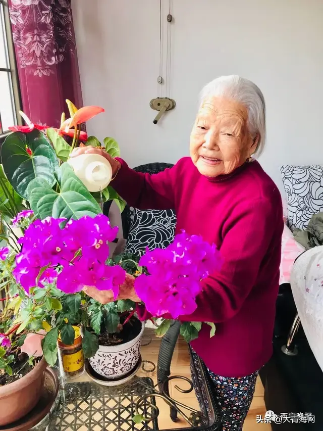 71岁儿子给97岁妈妈包饺子，西宁：98岁的妈和71岁的儿