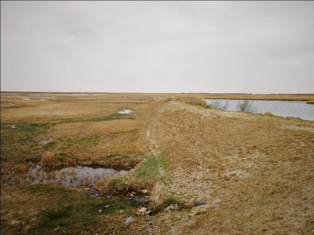 格尔木市海拔多少米，格尔木海拔高度是多少米（格尔木翻天覆地的变化）