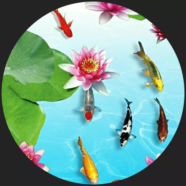 全屏手机壁纸，苹果手机动态壁纸下载 免费 全屏（36张精美无字迹图片）