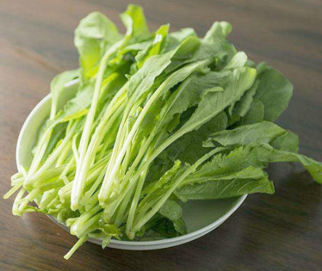 萝卜菜怎么炒，怎样炒萝卜菜（简单一炒就是美味）