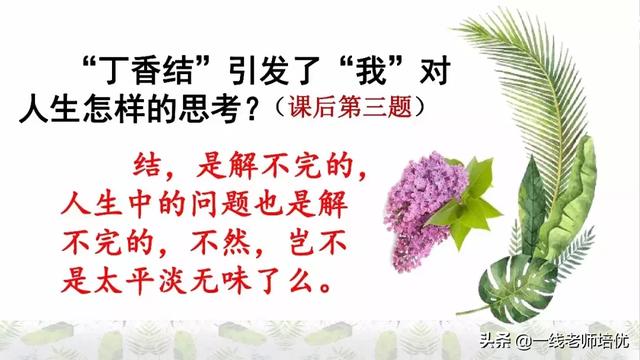 平淡无味的意思，清淡无味的意思（部编版六年级上册第2课《丁香结》重点知识点+图文解读）