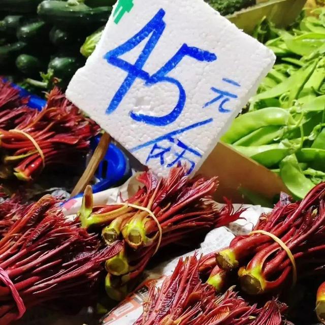 香椿树图片大全，农村常见的臭椿树有什么作用（香椿价格真不便宜）