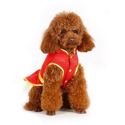 起个暴富的网名，起个暴富的网名精选（顺口的好运的宠物名字寓意发财-可爱点）