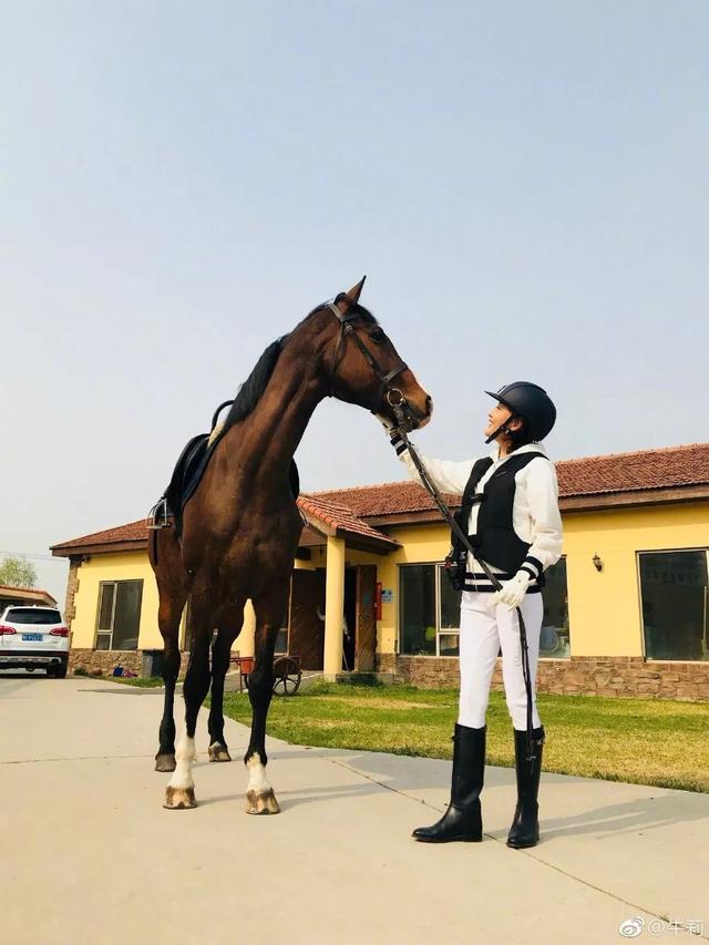 牛莉演的电视剧大全，牛莉演的电视剧有哪些（被称为“国民媳妇”的牛莉）