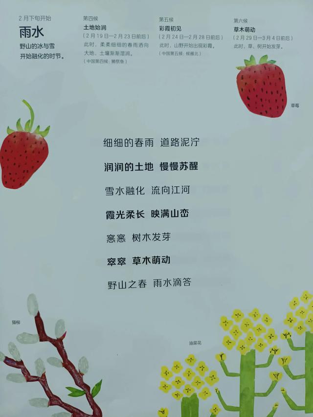 四季是按什么划分的，四季是如何划分（一年四季二十四节气）