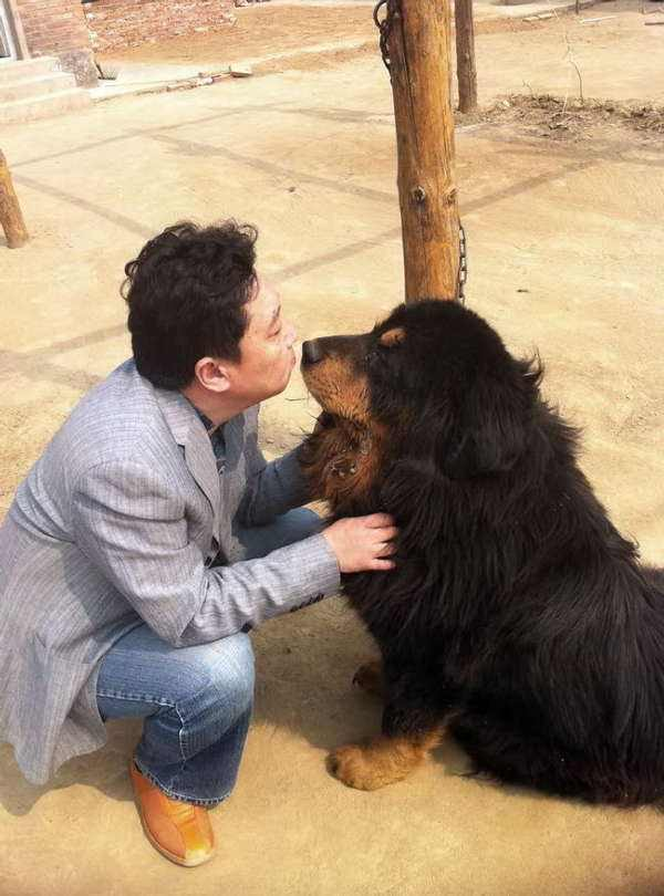 北京特色的京味文化传承，从《于谦动物园》的京味文化