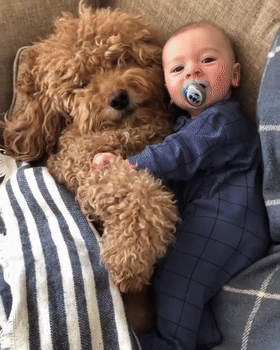 泰迪熊抱抱熊，一出生就有三个巨型“泰迪熊”陪睡（泰迪熊抱抱熊适合结婚送么）