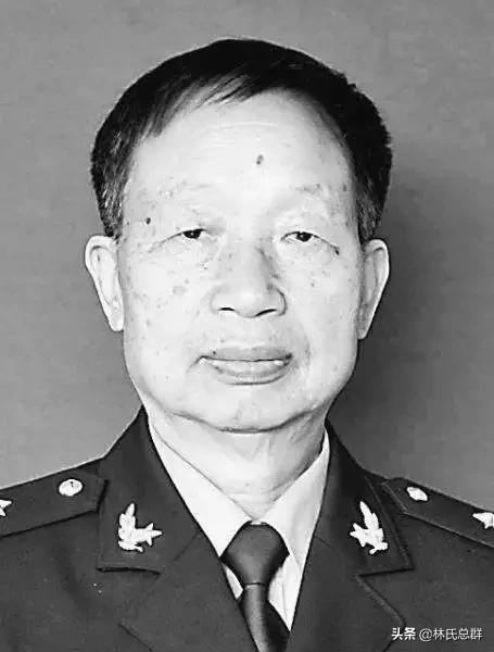 姓林的名人有哪些，姓林的名人有哪些古代名人（12位中国工程院林姓院士）