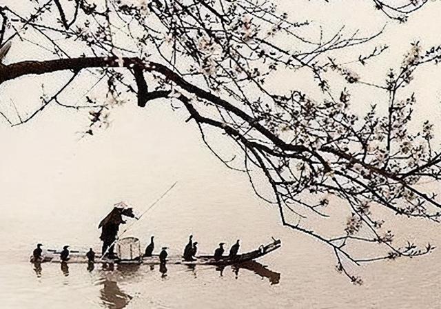 但坐观罗敷的坐，但坐观罗敷的坐是什么意思（古诗里有几种理解）