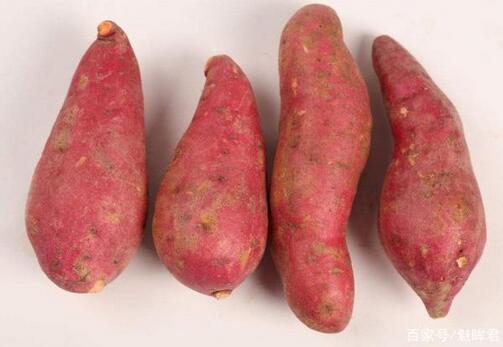 图片[5]-红薯保存方法 放一年不坏 越放越甜！-起舞食谱网