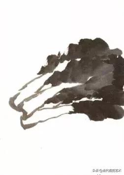 水墨画白菜的画法步骤，写意蔬果入门画法之白菜、辣椒的画法步骤