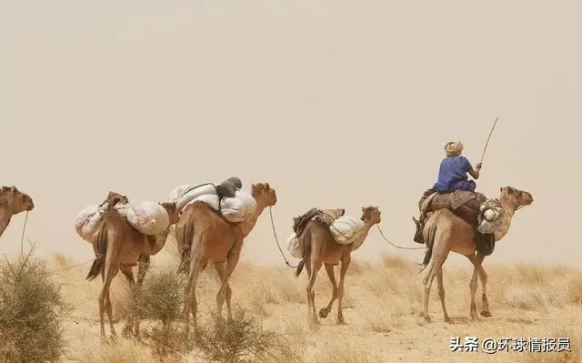 伊斯兰教发源地，教圣地在哪里（印尼是如何成为人口最多的伊斯兰国家的）