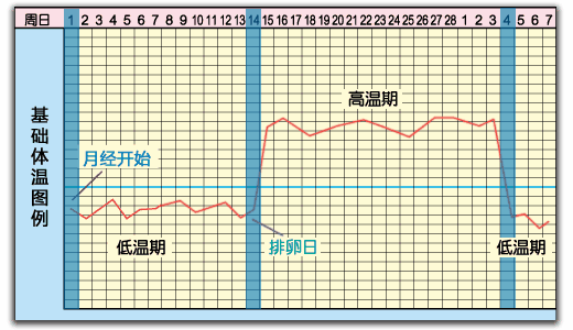 产科建大卡一般是几个月，如何知道我是不是怀孕了