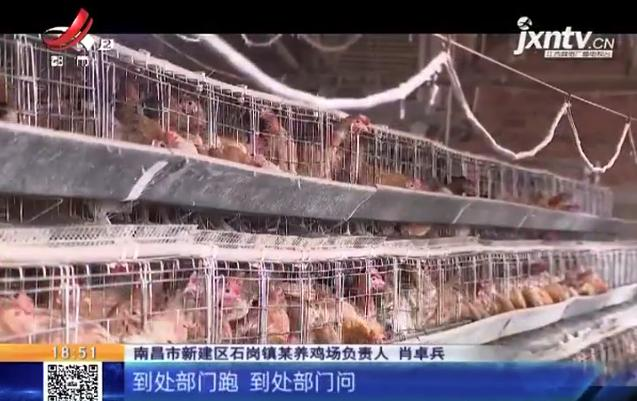 养鸡场投资多少钱，养1000只鸡需投资多少（男子投资200万元的养鸡场）
