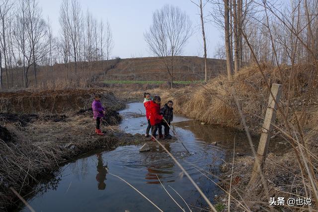 马虾怎么养，大马虾的养殖技术（你小时候也这么不怕冷吗）