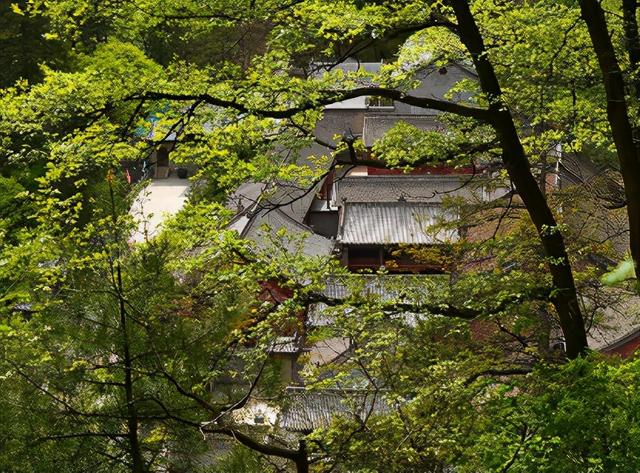 五岳归来不看山下一句是什么，谚语五岳归来不看山下一句是什么（五岳归来不看山）