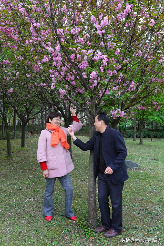 最简单能令人放松心情的图片 偶尔防空一下自己，让人心情放松的图片（醉倒在那片春色里）