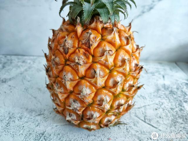 菠萝长什么样，菠萝长什么样子图片（切记这3种不要买）