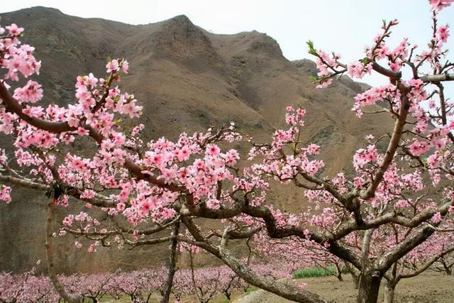 经常喷香水会有害吗，经常喷香水有什么危害（过量使用香水后她变得手不能拿）