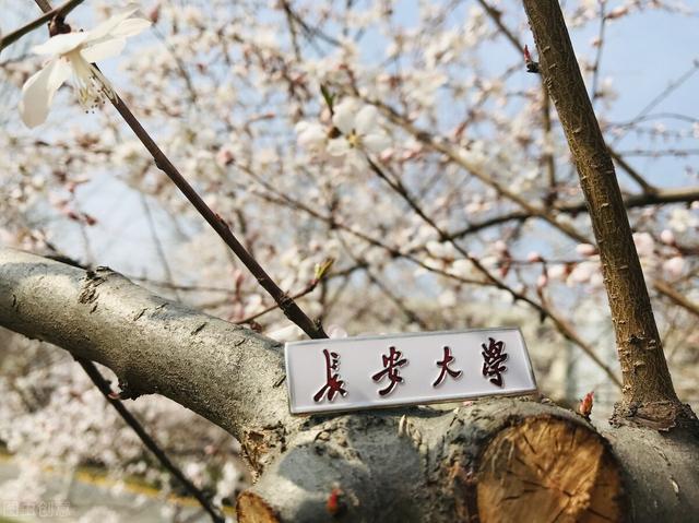 河北地质职工大学更名，河北地质大学职工大学（原地质部直属的5所大学还办学吗）