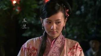 武松血溅鸳鸯楼，武松血溅鸳鸯楼概括（武松血溅鸳鸯楼时为何杀死自己唯一的女人玉兰）