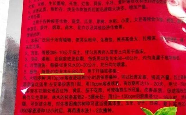 三角梅怎么扦插，三角梅扦插方法（连买花的钱都省下了）