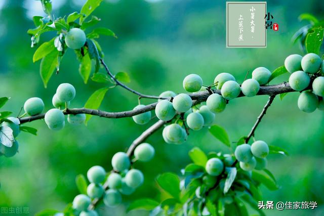 交节是什么意思，交节是什么意思啊（了解中国博大精深又务实的传统文化）