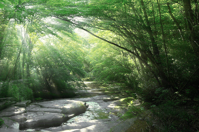 ps怎么安装插件，pscc插件怎么安装（2021最新PS一键安装所有插件）