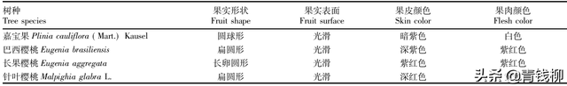 冠幅怎么测量，树冠冠幅怎么测量（个特色经济林品种在云南热区的引种表现）