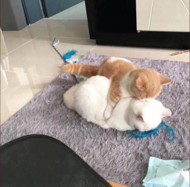 最凉不过人心图片，最凉不过人心，微信头像（也觉得冷可我不会拥抱别人）