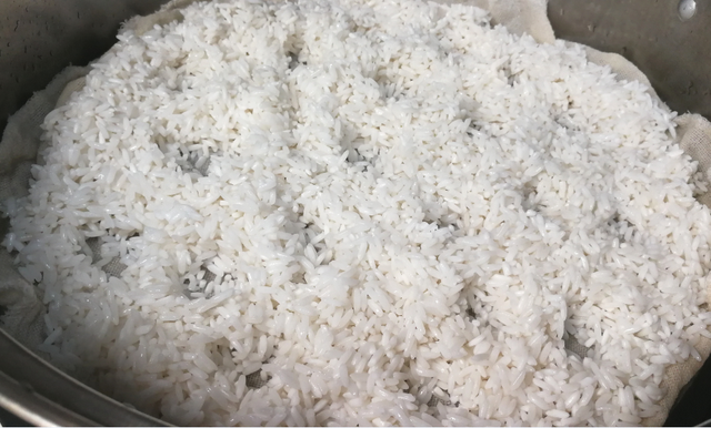醪糟是什么东西，醪糟是什么（正宗米酒/醪糟的做法）