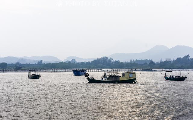 海陵岛红树林赶海攻略，海陵岛不只有碧海银沙