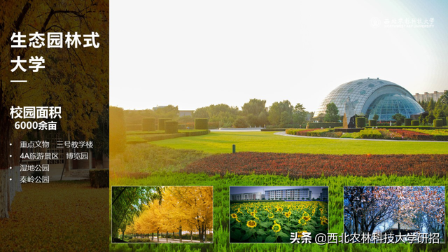 西北农林科技大学在哪，985里最差的十所大学（占地56012.28亩）