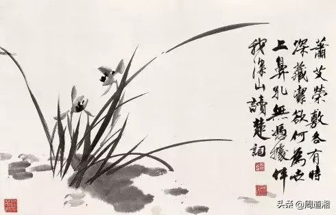 草的简笔画怎么画，猪笼草的简笔画怎么画（兰草的画法）