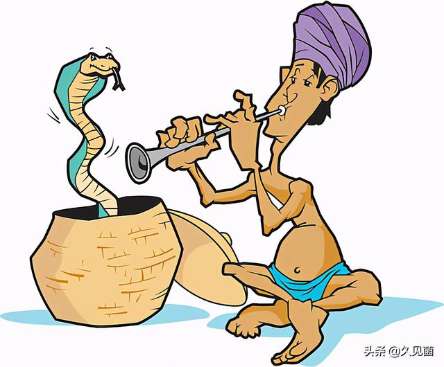 印度蛇为什么是保护动物，印度每年4.59万人死于蛇咬