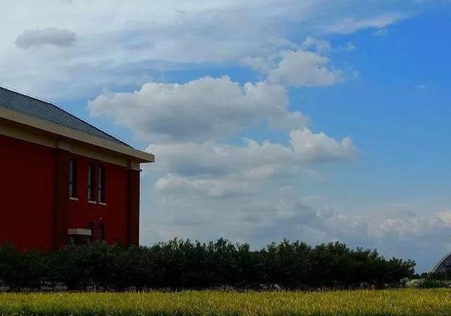 南开大学滨海学院是几本，南开大学滨海学院排名多少是几本（<一>南开大学滨海学院）