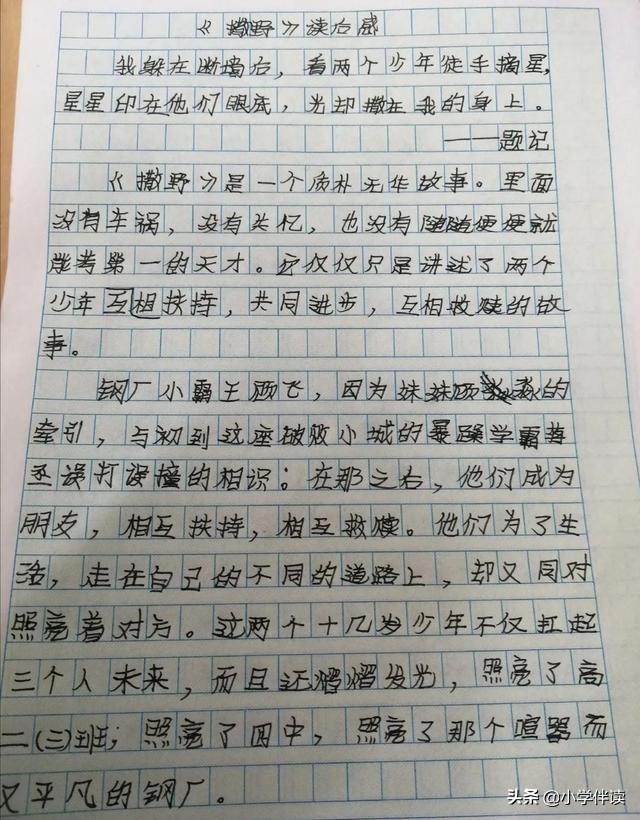 读后感提纲格式怎么写，活捉不会写“读后感”的小学生一枚