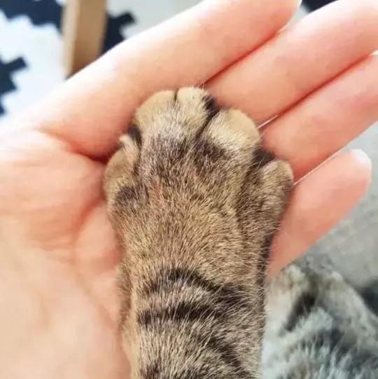 "我有社交恐惧症"