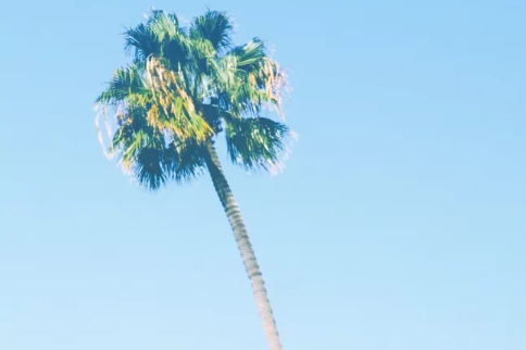 和相亲对象微信聊什么话题 微信和相亲对象聊什么